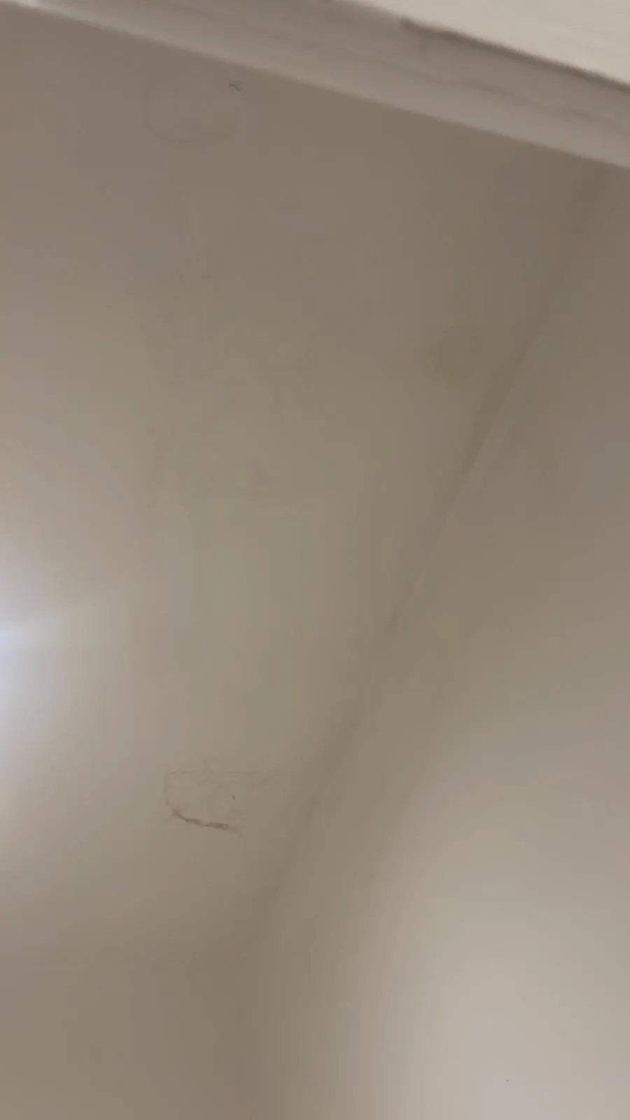 Ceiling repair — client-supplied L&G project photograph