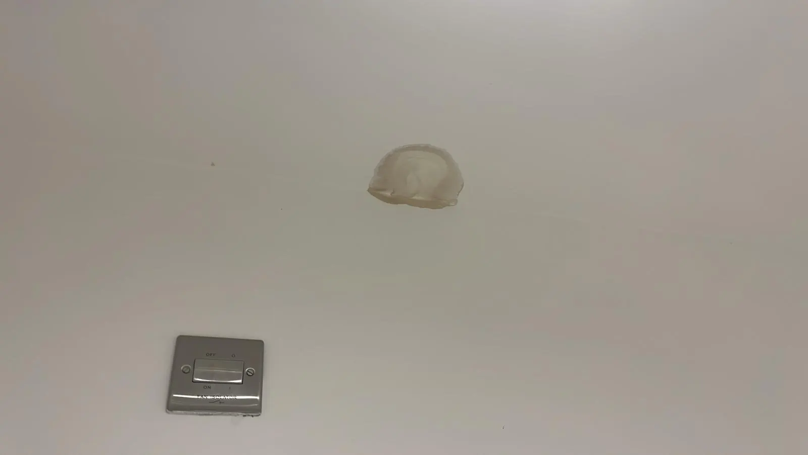 Ceiling repair