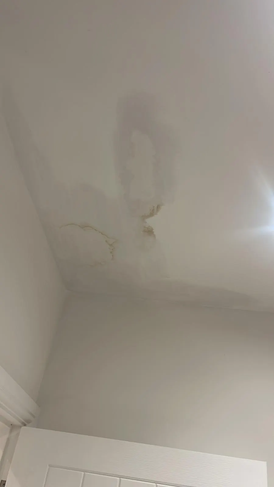 Ceiling repair